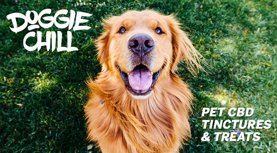 Doggie Chill CBD Products