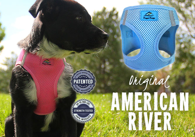 doggie-design-boutique-dog-clothes-designer-wholesale-sales