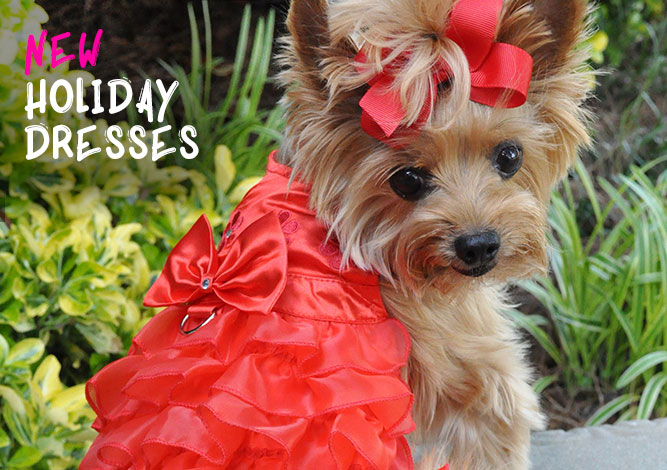 Doggie Design Dresses Polka Dot Dog Harness Dress By Doggie Design BaxterBoo Doggie Design Dresses Polka Dot Dog Harness Dress By Doggie Design BaxterBoo