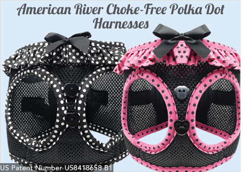 Doggie Design American River Choke Free Polka Dot Harnesses