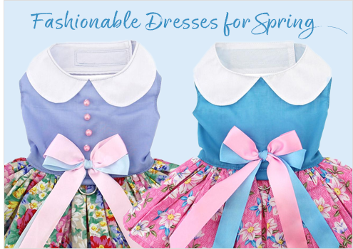 Doggie Design Jump Into Spring with Dresses