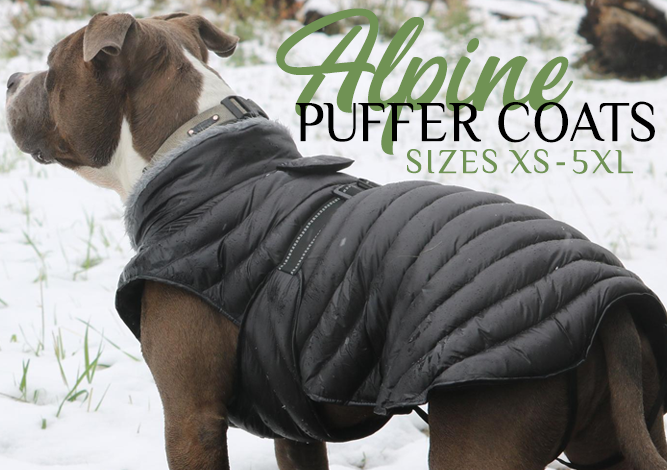 Louie Designer Dog Coat For Winter