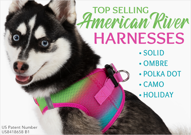 Doggie Design Top Selling American River Harnesses