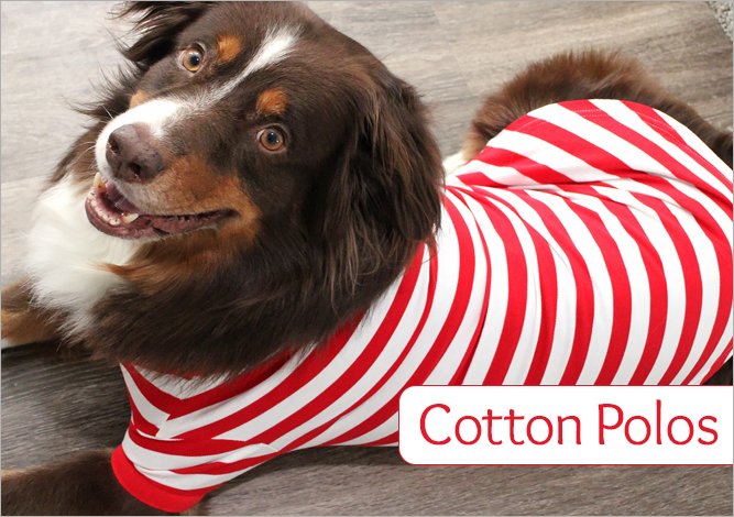 Doggie Design Cotton Polos