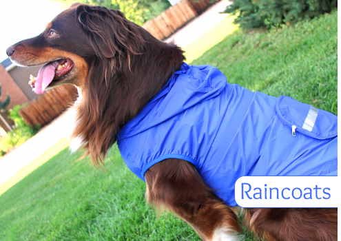 Doggie Design Raincoats
